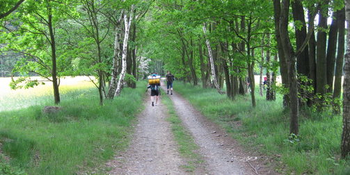 Ein Foto ist dargestellt. Etwa fünf Männer tragen ihr schwer aussehendes Gepäck auf den Schultern den Waldweg entlang. Der Boden ist kiesig. Zwei der Männer laufen abseits des Weges durch das Gestrüpp.